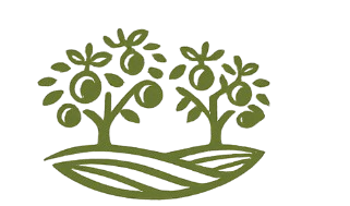 LOGO 2 removebg preview