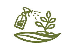 LOGO 3 removebg preview